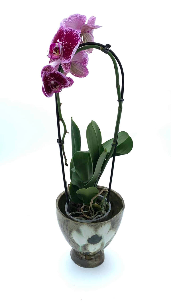 Übertopf, Vase aus Ton mit bemalter Blume