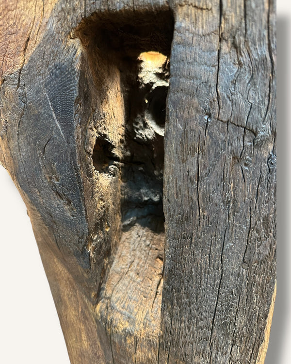 Makroaufnahme einer handgemachten Stehleuchte aus Eiche mit natürlicher Struktur und rustikal-modernem Design