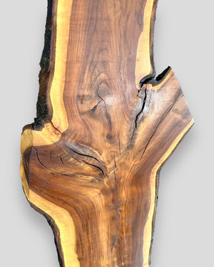 Stehleuchte Unikat Apfelbaum LED dimmbar