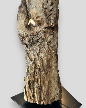 Nussbaum Unikat Stehlampe